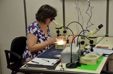 Beim Sortieren der Proben / Sorting the samples ©Thomas Walter