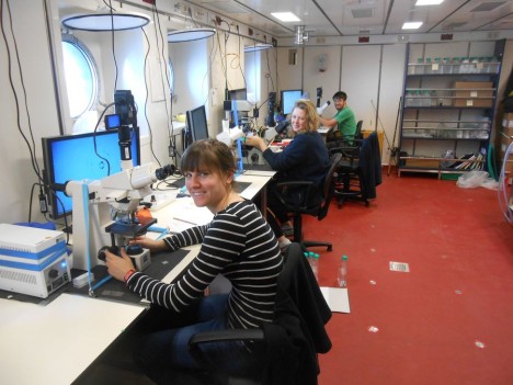 Ein Blick in unser Labor an Bord der neuen “Sonne”. / A view into our laboratory onboard of the new RV „Sonne“. ©Hartmut Arndt