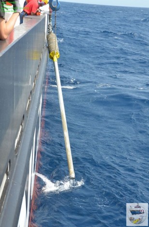 Das Schwerelot kommt mit Sediment zurück an Bord/ Gravity Corer is hauled back on board. ©Thomas Walter