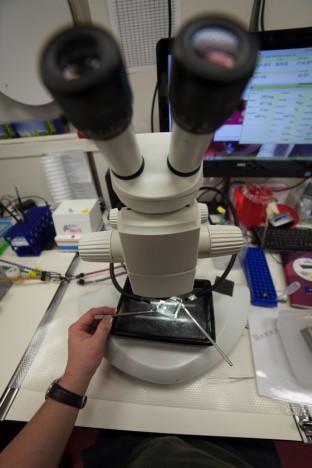 Das wichtigste Instrument, das Mikroskop / The most importend instrument, the microscope ©Simon Bober