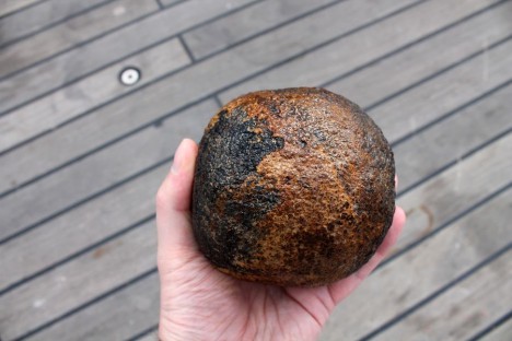 Eine der größeren Manganknollen in meiner Hand über dem Schiffsdeck. / One of the larger manganese nodules in my hand above the ship’s deck. ©Nikolaus Elsner