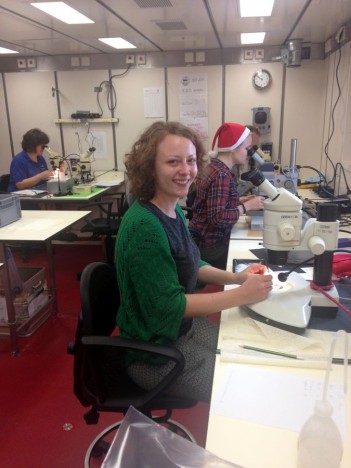 Beim Sortieren einer Probeim Labor / Sorting a sample in the lab. ©Marina Malyutina