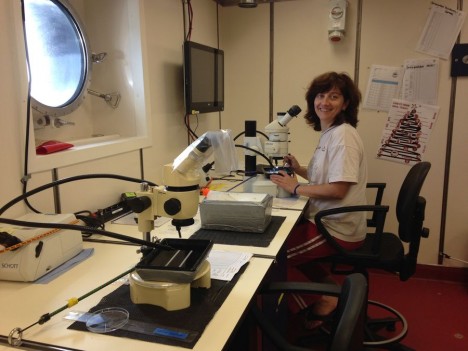 Beim Sortieren einer Probe im Labor / Sorting a sample in the lab. ©Marina Malyutina