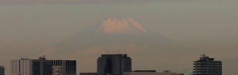 fuji