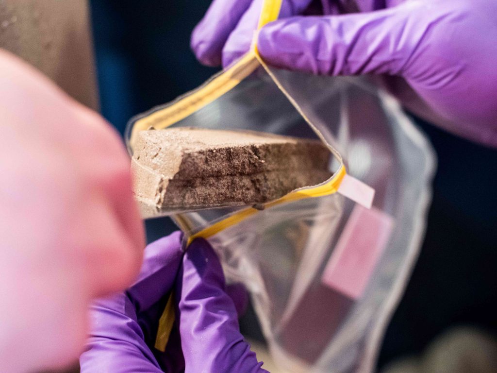 After the sediment has been cut, it is packed in plastic bags for the various research purposes. Photo: Steffen Niemann