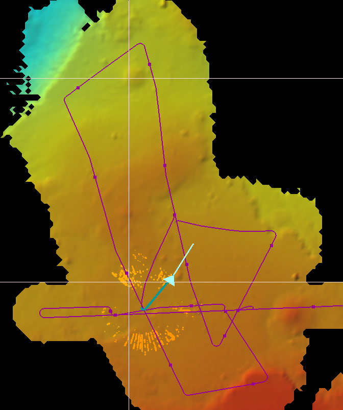 Route of the conducted mapping. Photo: Melanie Steffen