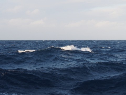 ...feel sometimes different on the Indian Ocean. (Photo: Folkard Wittrock)