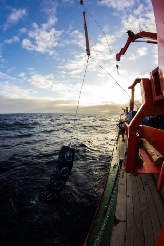 Drifter catch, SO235, 2014-07-29, 1700.Photo: Matthias Krüger