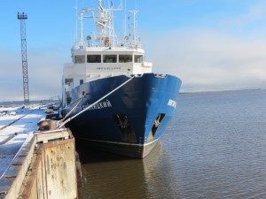 RV Viktor Buynitzkiy in Tiksi