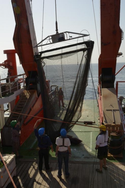 Trawling nets being deployed into the sea for mid-water trawling on Sonne (SO 234/1) Photo: Roland Knauer