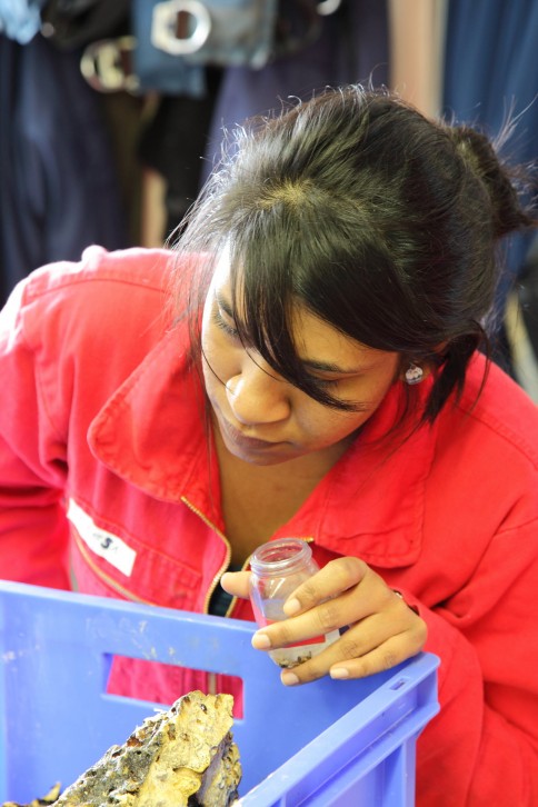 Working in the Lab. Photo: Ulrich Mattheus