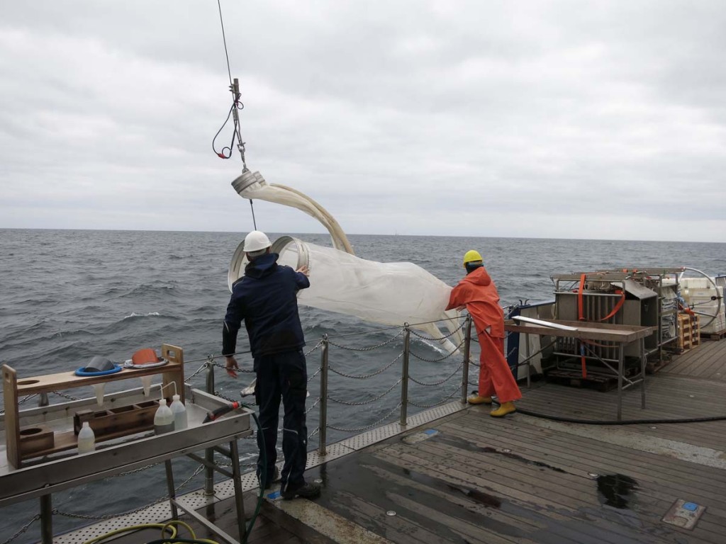 Bongonetz-Einsatz auf Expedition AL437. Foto: Sophia Wagner