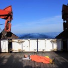 Ein Sonnenschläfchen zwischen zwei Fischgängen. Foto: Sophia Wagner