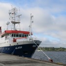 Die Alkor im Hafen von Karlskrona. Foto: Sophia Wagner