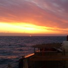 Ein wunderschöner Sonnenaufgang nach einer erfolgreichen Nachtschicht. Guten Morgen!! Foto: Stefanie Hatzky