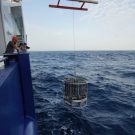 Die erste CTD taucht ab - first CDT dive