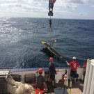 Aussetzen - deployment of the MARUM Waveglider