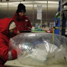 In the cold lab Seinab an Sophie slice the pushcore within a glove bag.