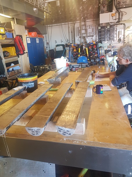 The author working with sediment cores. Photo: Kristin Hamann