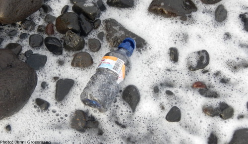 Eine Plastikflasche wie diese hat im Meer eine geschätzte Lebensdauer von 500 Jahren.