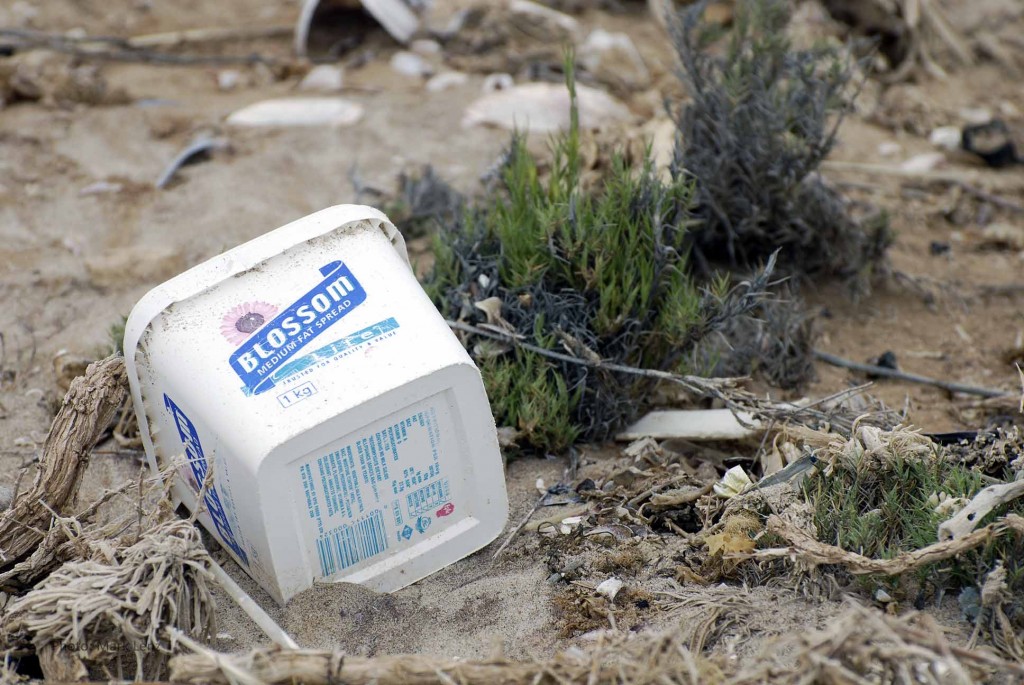 Disposable food container on a beach at the Skeleton Coast. Photo: M. Lenz