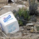 Disposable food container on a beach at the Skeleton Coast. Photo: M. Lenz