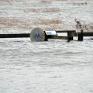 ... wie dieses Schild beweist. Foto: M. Lenz