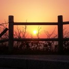 Setting sun at Akkeshi Marine Station. Photo: Myriam Perschke