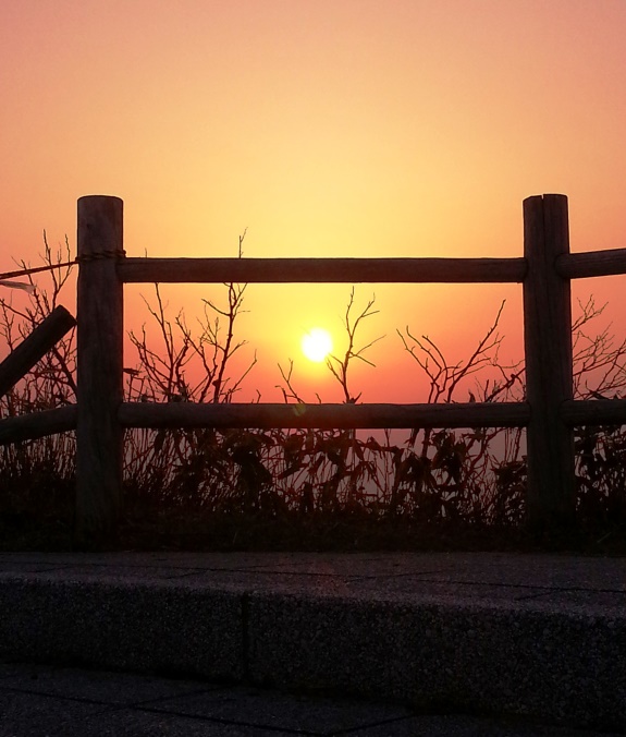 Setting sun at Akkeshi Marine Station. Photo: Myriam Perschke