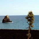 View from the lab: The sharkfin shaped rock in front of the Estação de Biologia Marinha do Funchal.