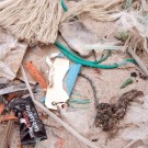 Plastikmüll wie die meisten Besucher ihn auch von Strandspaziergängen her kennen.