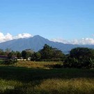 Mount Salak as seen from our way to work