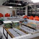 Our experimental set-up in the marine habitat lab in Bogor