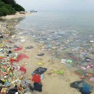 Marine plastic debris is a major problem along the shores of the 'Thousand Islands'