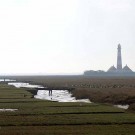 Der Leuchtturm Westerhever liegt im Vorland, inmitten einer großen Salzwiese.