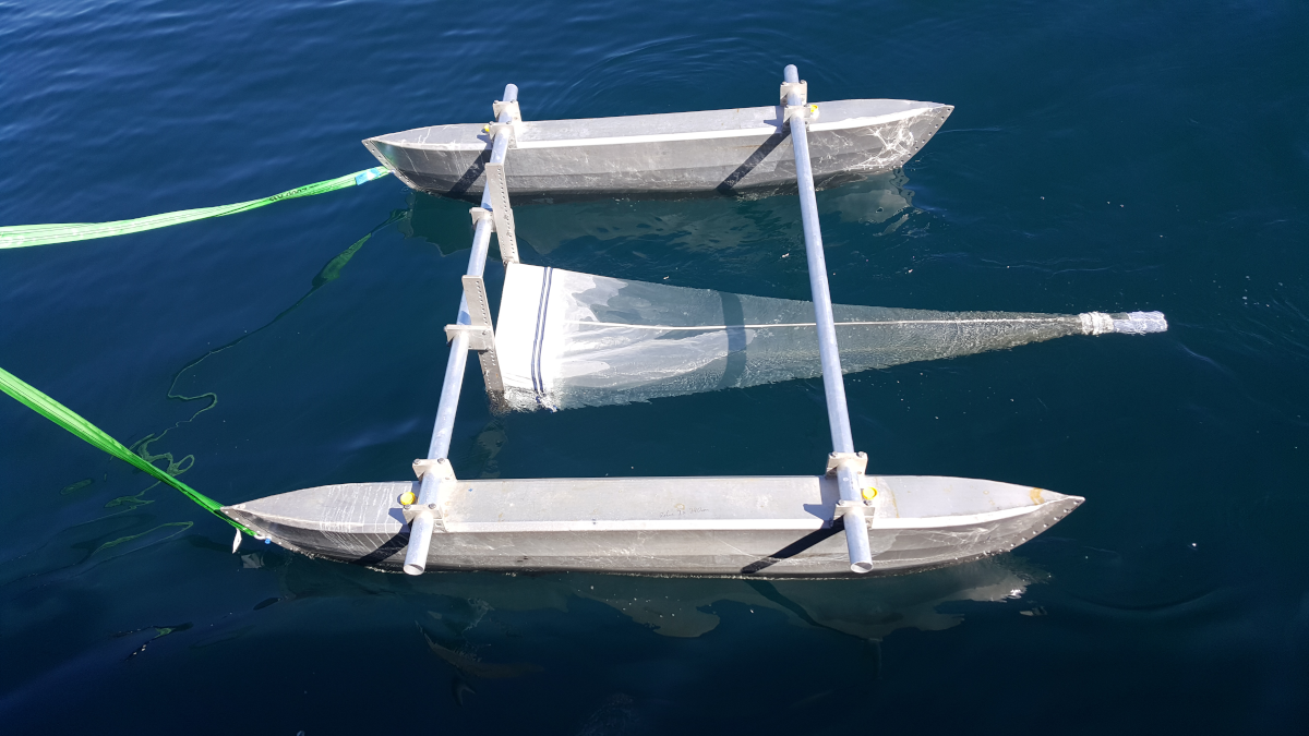 NETS ON THE ATLANTIC COAST Hotmic Transport and Fate of Marine