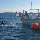 Mooring of the collector next to our mesocosms: end of a successful day