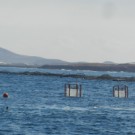 Verankerung des Tiefenwassersammlers bei den Mesokosmen. Foto: Constanze Bückner