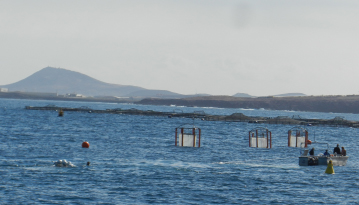 Verankerung des Tiefenwassersammlers bei den Mesokosmen. Foto: Constanze Bückner