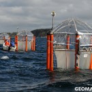 Anyone seasick? Noooo! Photo: Maike Nicolai, GEOMAR