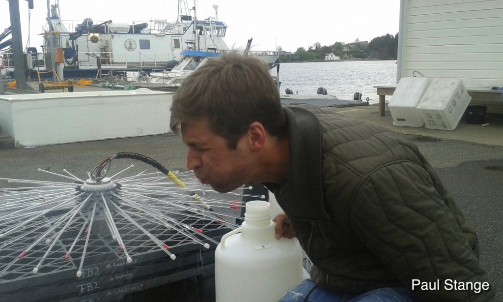a matter of taste KOSMOS Bergen mesocosms ocean acidification