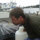 a matter of taste KOSMOS Bergen mesocosms ocean acidification