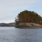 Island on the way to the mesocosms. Photo: Lara Schmittmann 