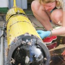 Untersuchen der Entenmuscheln. Foto: Martin Visbeck, GEOMAR