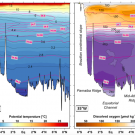 Figure 1: Mean distributions of temperature and oxygen (salinity is overlayed in magenta) along the 35°W meridian –from the Brazilian coast northward. These sections represent the average of 12 previous cruises (1990-2004) along this route and nicely show the different patches of properties characterizing different water masses (Herrford et al., 2017).