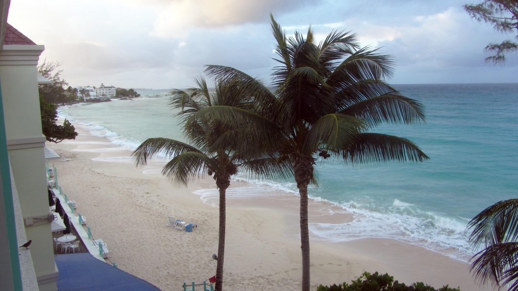 The morning after our arrival in Bridgetown, Barbados. / Der Morgen nach unserer Ankunft in Bridgetown, Barbados. (© M. Klischies)