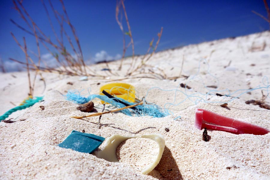 Auch an den Küsten Mexikos findet man immer häufiger Makroplastik (Foto: Jonas Martin, GEOMAR)
