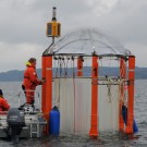 Beim KOSMOS-Experiement 2013 im Gullmar Fjord in Schweden wurden tagtäglich Wasserproben genommen. (Foto: Maike Nicolai, GEOMAR)