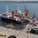 Ein seltener Anblick: Alle vier GEOMAR Schiffe sind zur gleichen Zeit in der Heimat. FB POLARFUCHS, FK LITTORINA, FS ALKOR und FS Poseidon am Pier vorm Aquarium an der Kiellinie. (Foto: Maike Nicolai, GEOMAR)