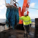 Die Crew der ALKOR holt die Dredge aus der Wattenbergrinne an Bord. (Foto: G. Seidel, GEOMAR)